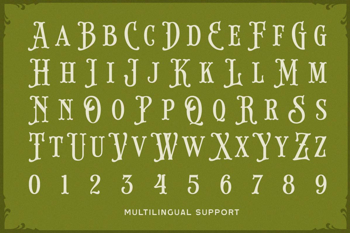 Brindley Houston Display Serif, a Serif Font by Letterhend Studio (Photo 5 of 11)
