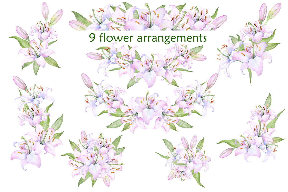 Watercolor clipart white lilies, an Illustration by EshaStudio (Photo 2 of 11)