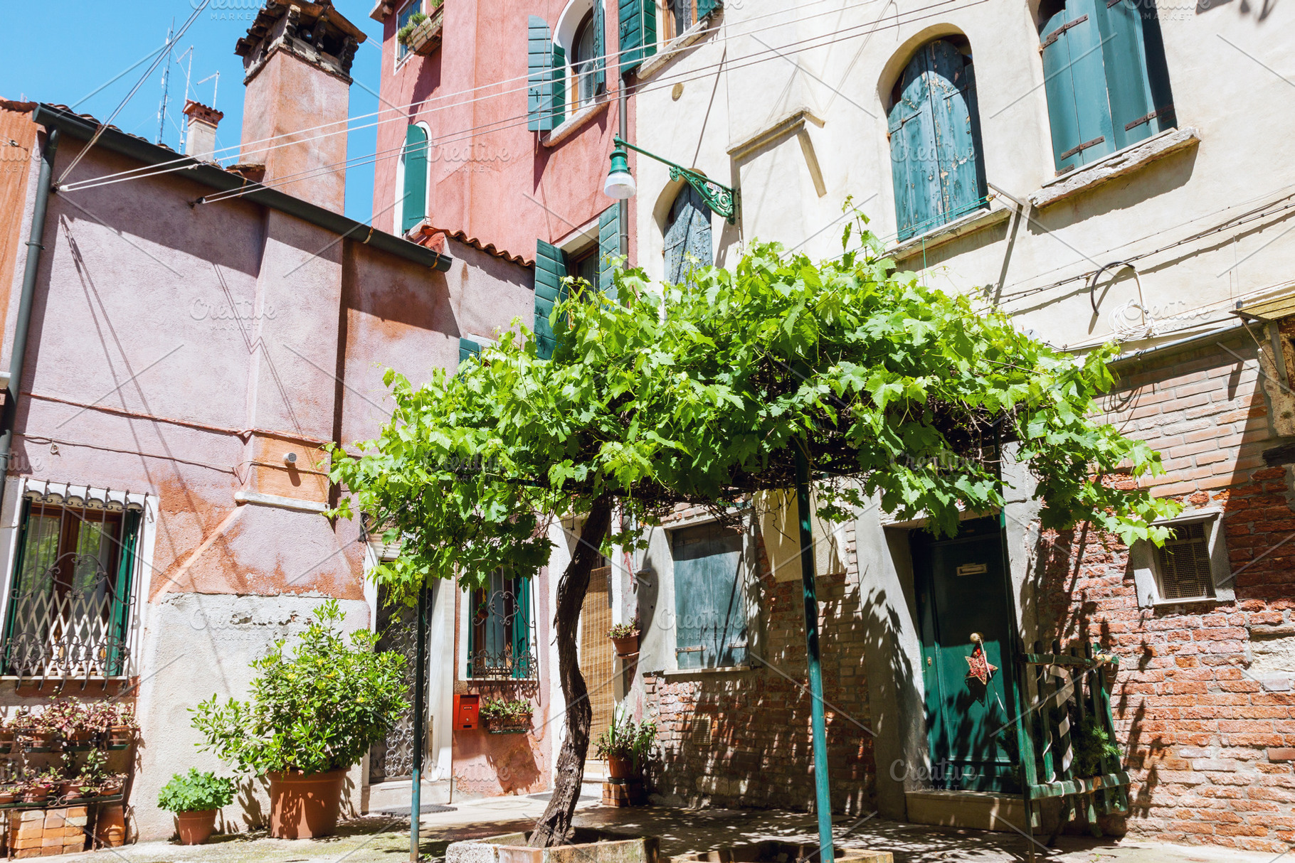 Cozy yard with grape tree in Venice, an Architecture Photo by BOOCYS