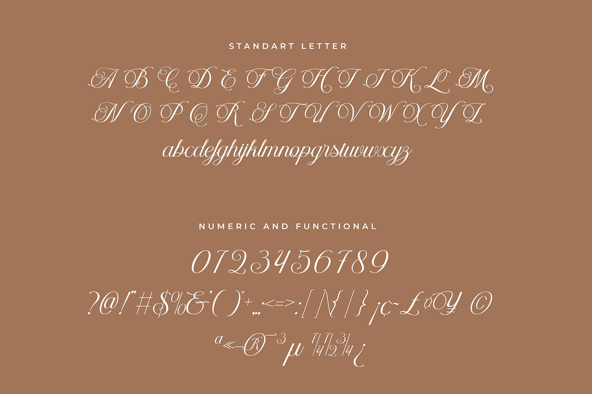 Helyna Elegant Script Font, a Script Font by RantautypeStudio (Photo 17 of 19)