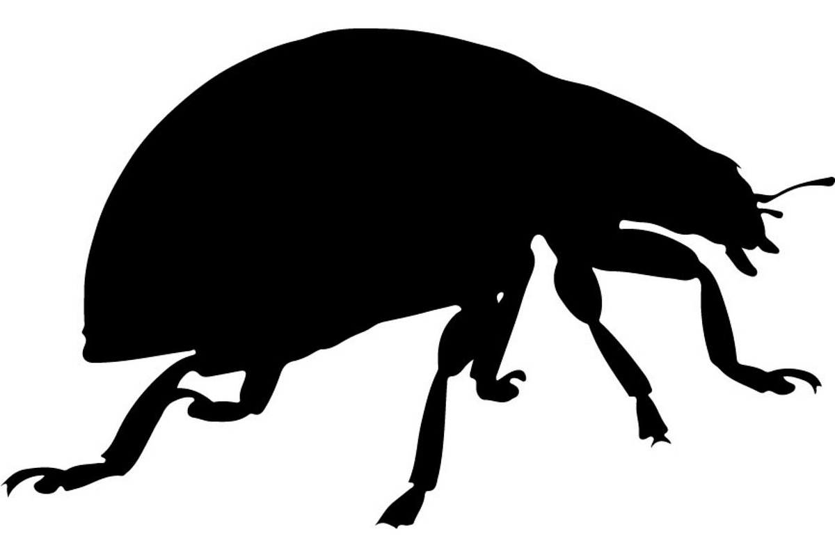 20 Ladybug Silhouette Mega, an Object Graphic by Designer_Momina (Photo 5 of 20)
