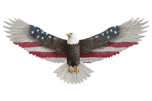 American Eagle Flag Patriotic PNG, a Graphic by VetalStock