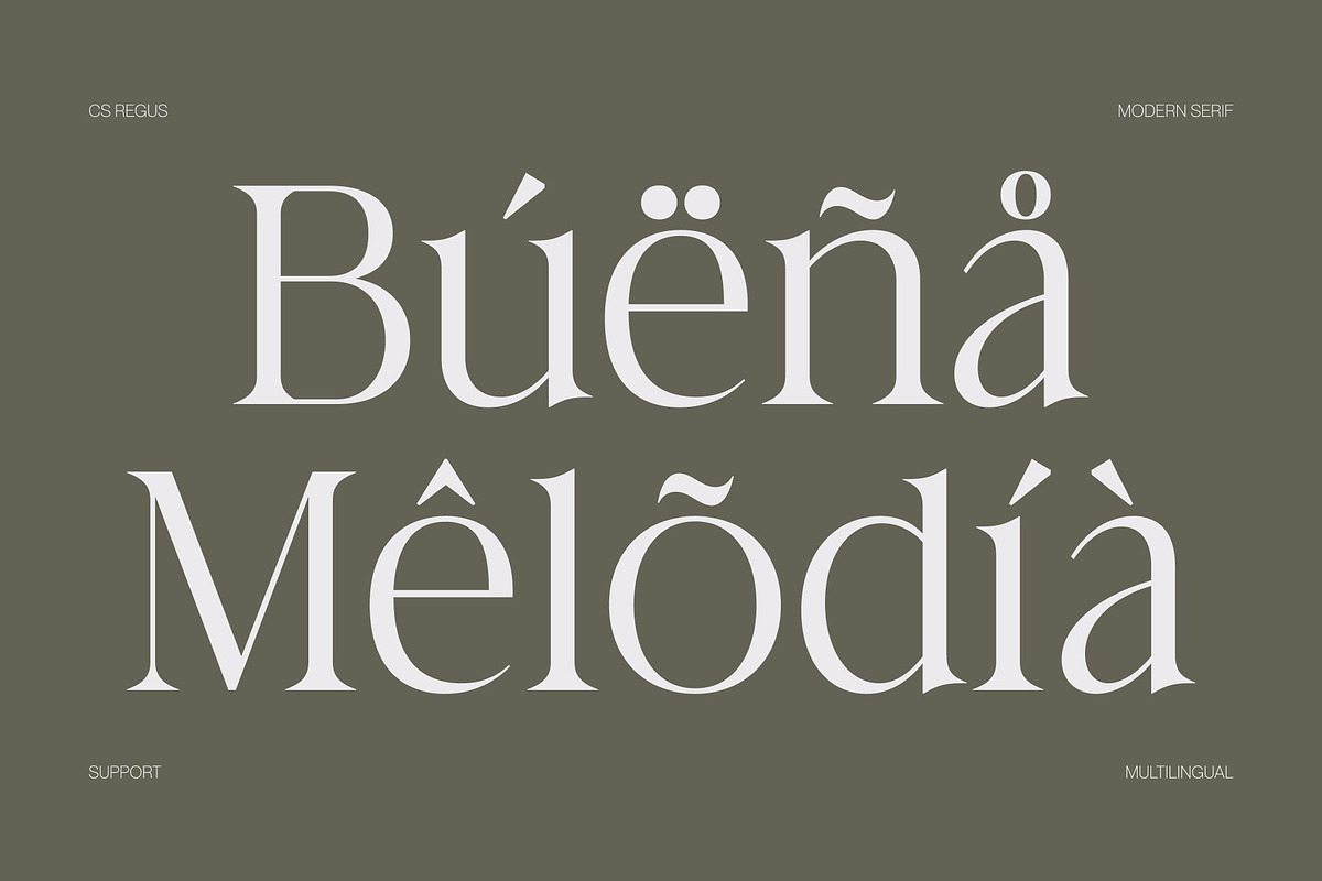 CS Regus – Modern Serif Font, a Serif Font by Craft Supply Co. (Photo 6 of 8)