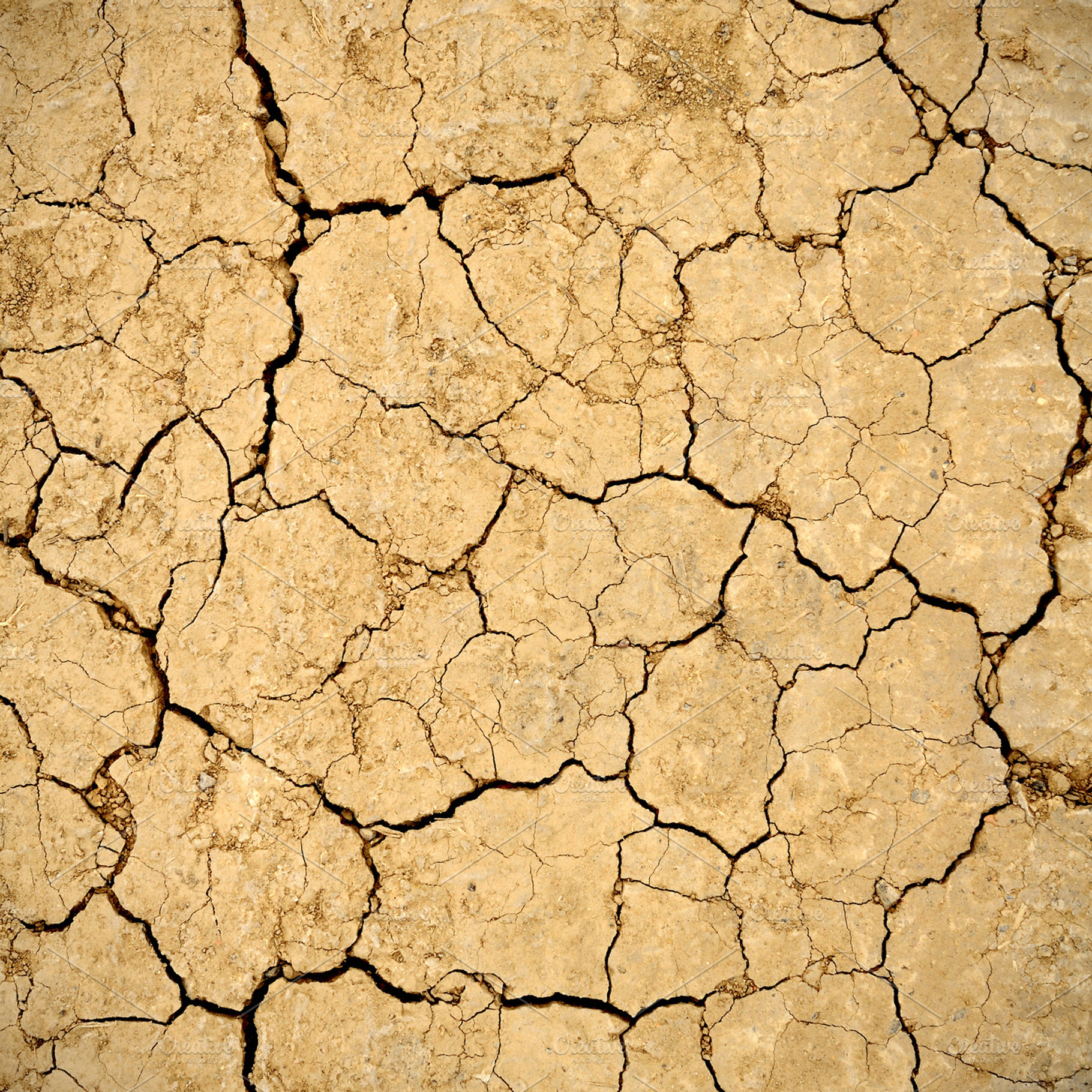 Dry soil stock photo containing arid and background