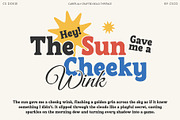 CS Dovie – Retro Font, a Serif Font by Craft Supply Co. (Thumbnail 5 of 8)