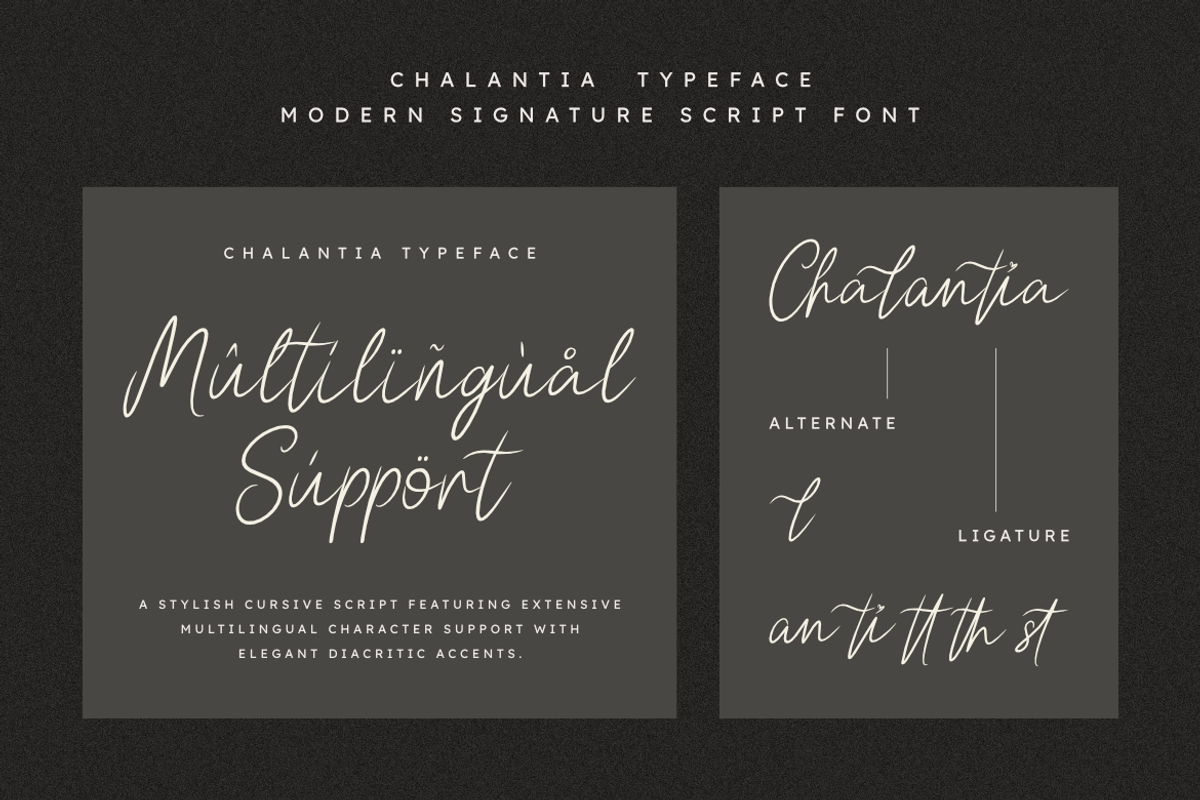 Chalantia - Modern Signature Font, a Script Font by Masyafi Studio (Photo 5 of 8)