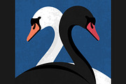 Black and White Swans, an Animal Illustration by PsychocheArt (Thumbnail 3 of 3)