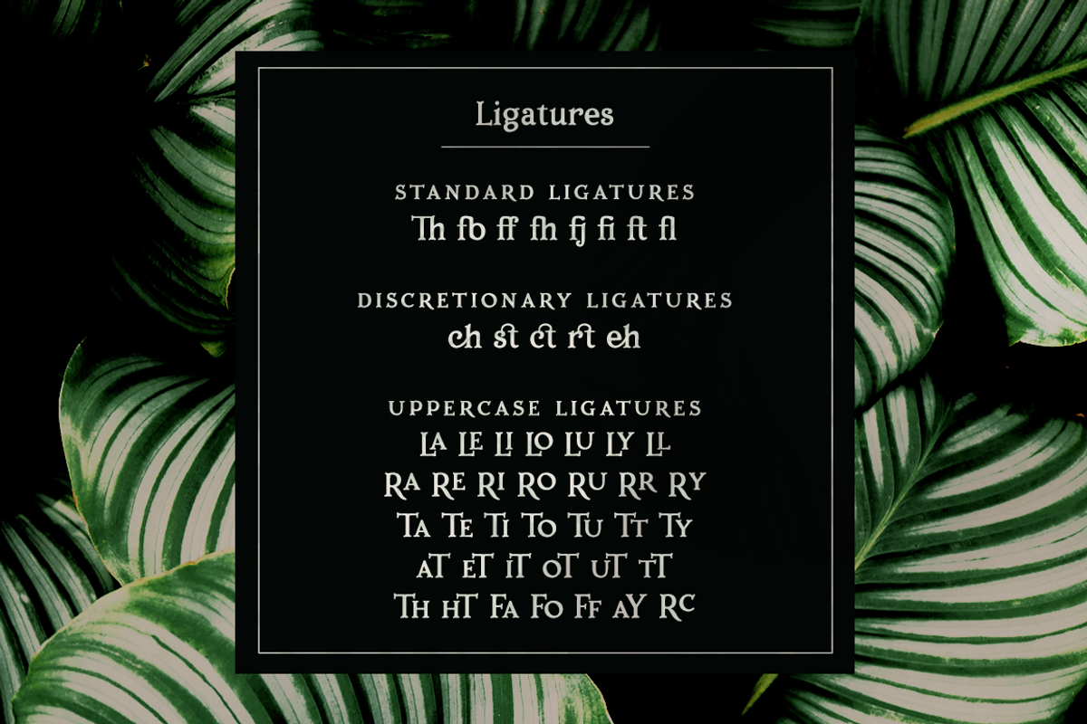 Porchlight classic serif font preview 6