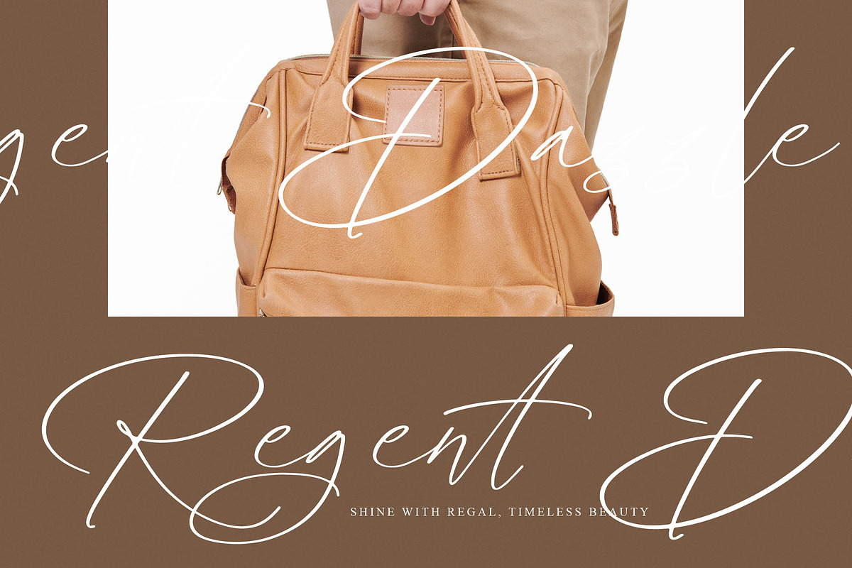 Radiance Berlines, a Script Font by operatype.co (Photo 5 of 15)