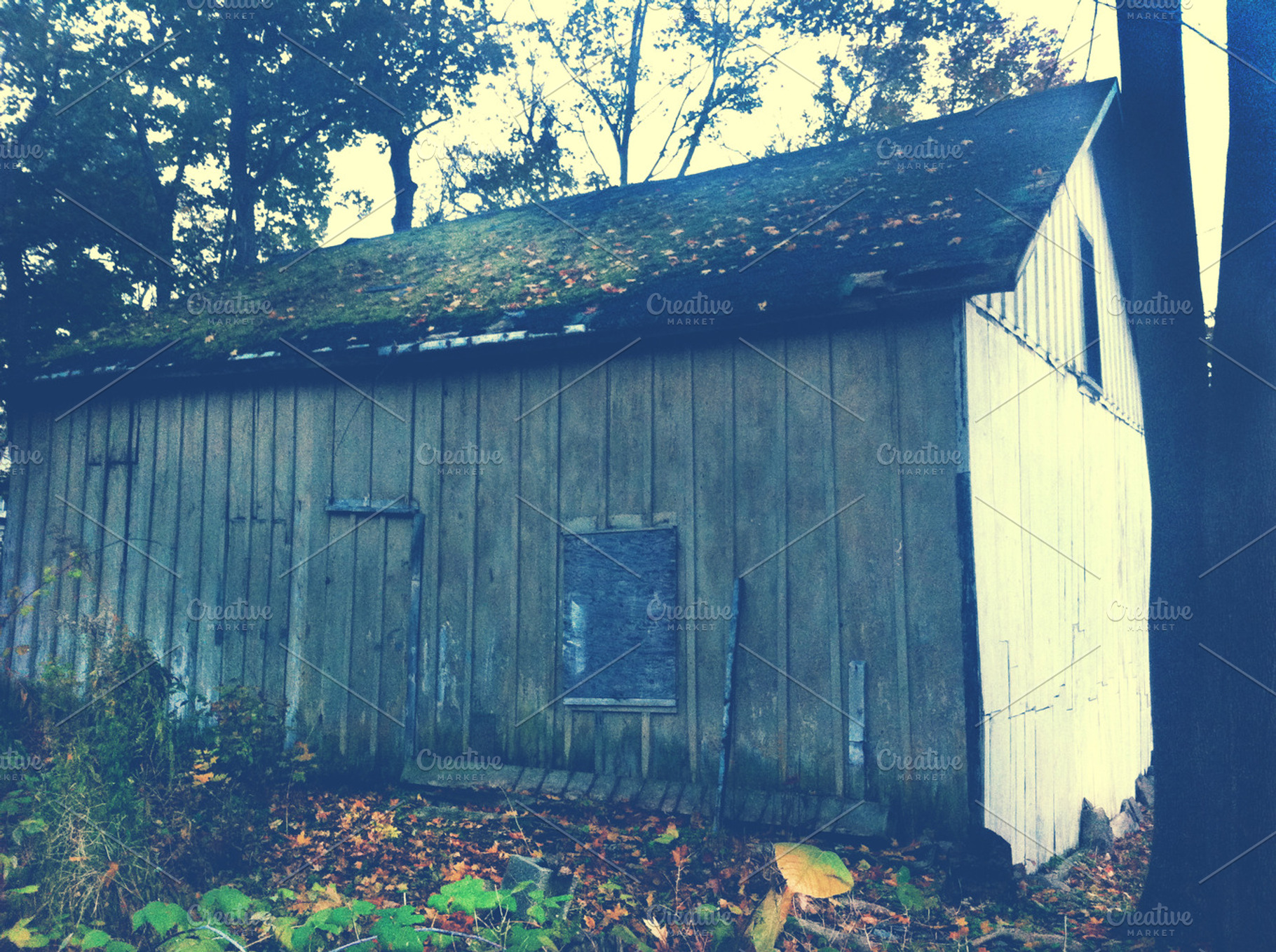 Old shed stock photo containing upstate ny and shed