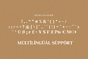 Ransta Modern Serif Font, a Serif Font by Multype Studio (Thumbnail 10 of 12)