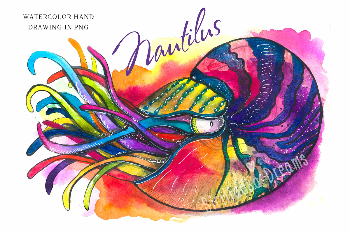 Set of bright watercolor animals, an Animal Illustration by Siriliadka Dreams (Photo 6 of 11)