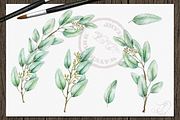 Seeded Eucalyptus Illustration, a Decorative Illustration by DioFlow (Thumbnail 2 of 6)