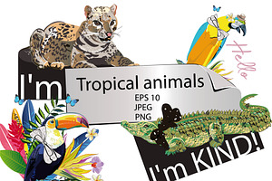 Tropical Animals And Birds.