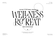 Evertype - Display Serif Font Family, a Serif Font by VP Fonts (Thumbnail 21 of 32)