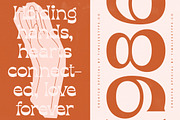 Sizzling Cheesy Modern Serif, a Serif Font by timelesstype.co (Thumbnail 16 of 20)