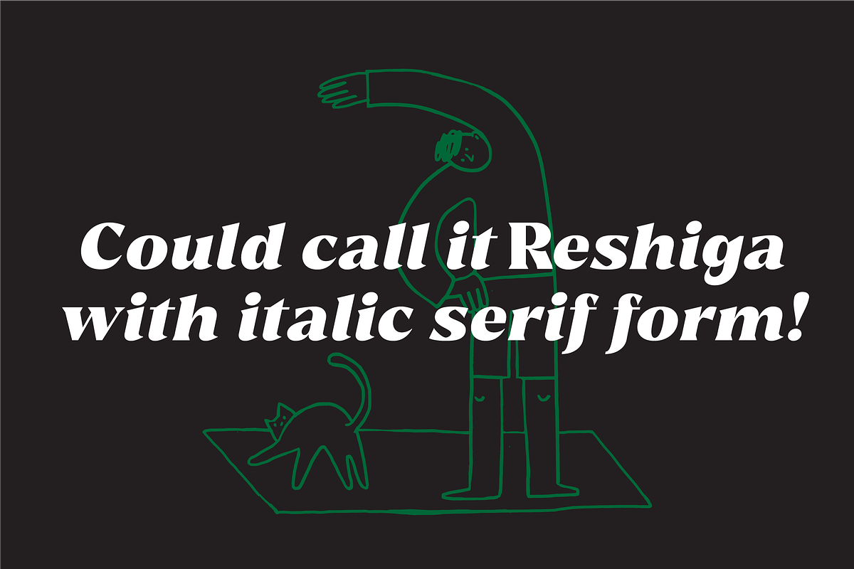 Reshiga - Serif Font, a Serif Font by limitype (Photo 5 of 13)