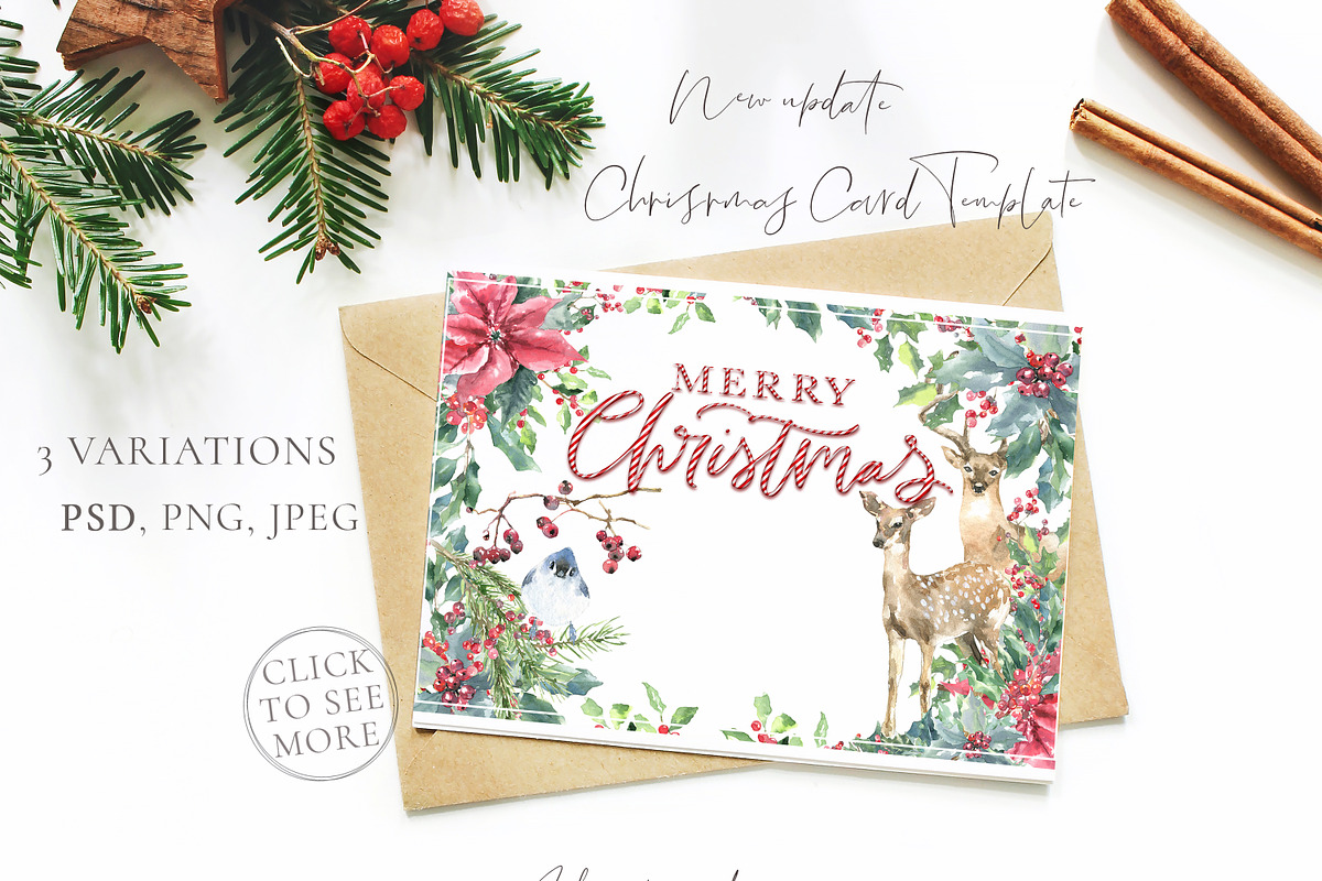 Christmas Watercolor Woodland, an Animal Illustration by Catherine Wheel (Photo 3 of 22)