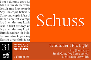 SchussSerifProLight No.31 (1 Font)