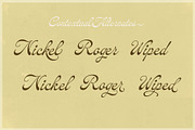 Jardim Botânico, a Script Font by Misprinted Type (Thumbnail 8 of 9)