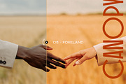 Canopy - Earthy Lightroom Presets, an Action Add-On by Presetrain Co. (Thumbnail 4 of 8)
