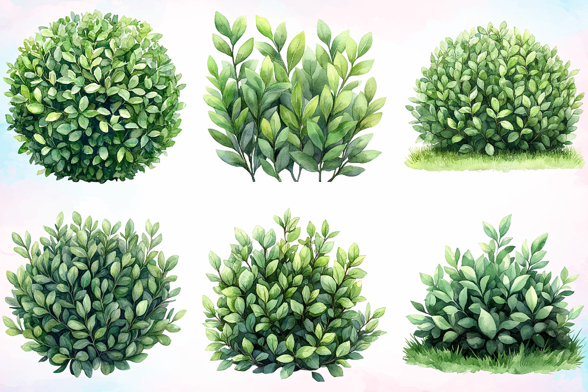 Watercolor Bushes Clipart Bundle, an Illustration by Canvas Craft (Photo 4 of 5)