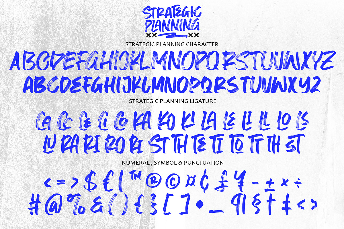 Strategic Planning-Sport Brush Font, a Font by Arendxstudio (Photo 7 of 7)
