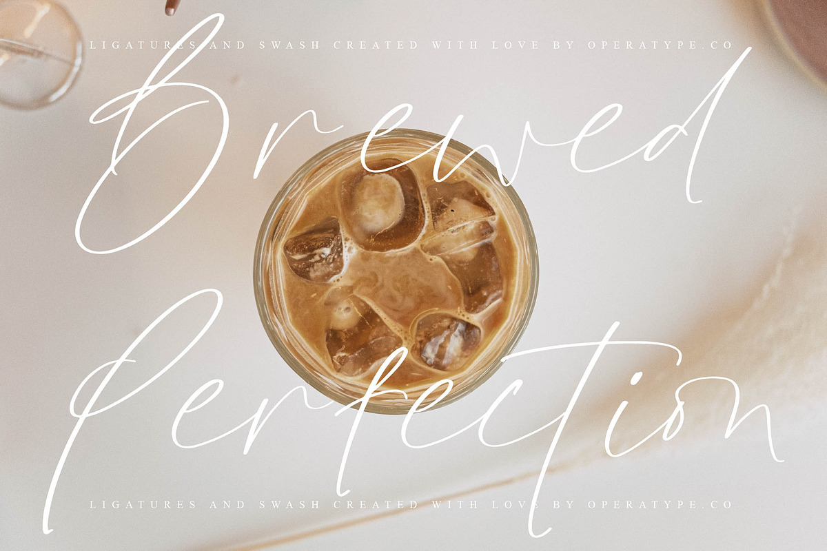 Butterfly Friends, a Script Font by operatype.co (Photo 8 of 15)