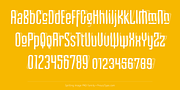 Spitting Image PRO, a Sans Serif Font by preussTYPE (Thumbnail 7 of 9)