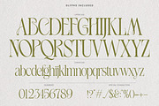 Luxury Wedding Font Bundle, a Serif Font by AndrewPixelType (Thumbnail 20 of 44)