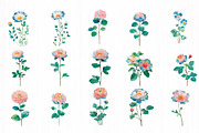 Blush Garden Romance Clipart Set, an Illustration by DreamCafeArt (Thumbnail 3 of 10)