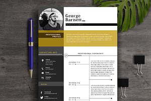 Resume Template 2 Page CV Template