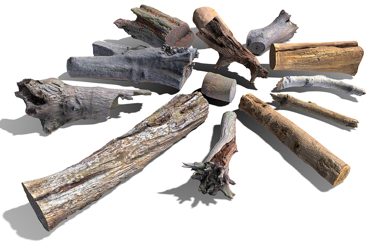 13 Tree Logs, an Environmental 3D Model by Beatheart Creative Studio (Photo 18 of 37)