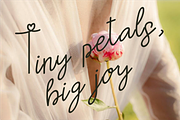 Rosamira a Script Font, a Script Font by Berdansabersama (Thumbnail 6 of 9)