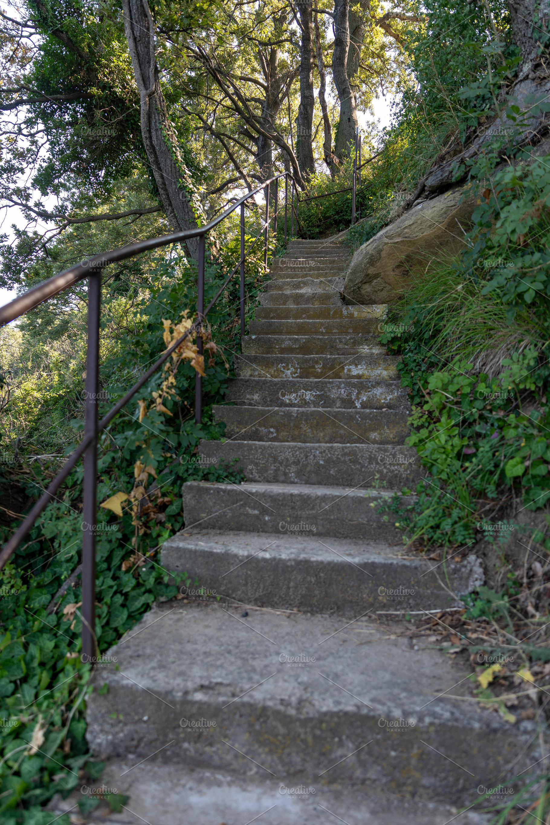 Concrete steps with metal railing leading upward through lush green foliage and, a Nature Photo by Ales Munt