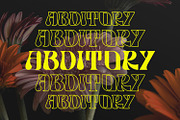 Rutch Display Font, a Serif Font by Typetemp Studio (Thumbnail 2 of 17)