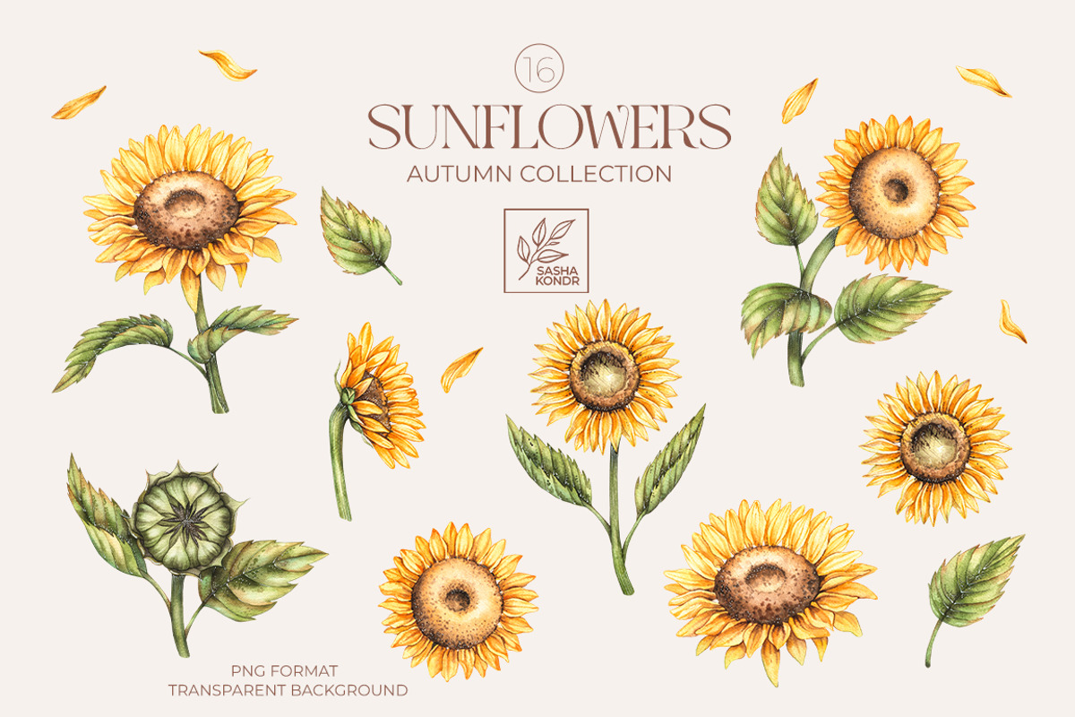 Autumn Watercolor floral collection, a Decorative Illustration by SashaKondr (Photo 17 of 20)