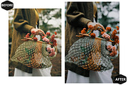 12 Sweet Autumn Photoshop Actions, an Action Add-On by Hue Palettte Studio (Thumbnail 5 of 10)
