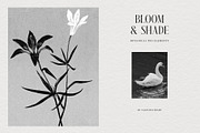 Bloom & Shade Botanical PNG Elements, an Object Graphic by alonahaidash (Thumbnail 1 of 13)