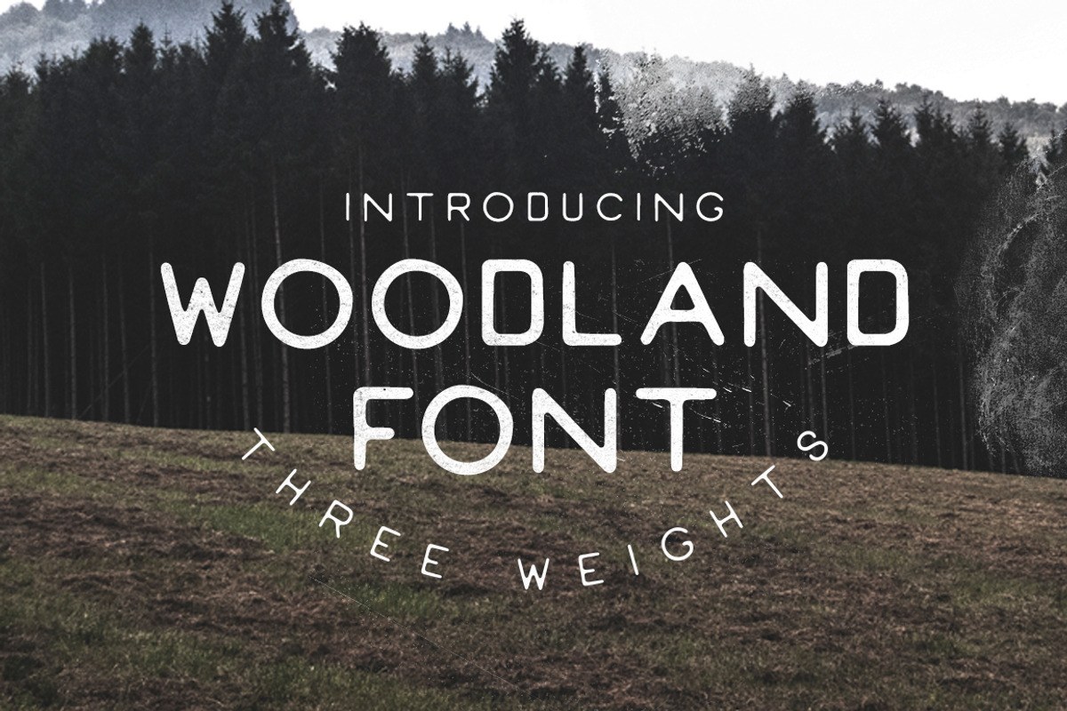 Revelation Script + Woodland Font preview 5