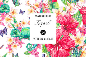 Summer Tropical Floral Pattern