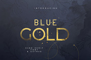 Blue Gold sans serif font + Extras, a Sans Serif Font by VP Fonts (Thumbnail 1 of 15)