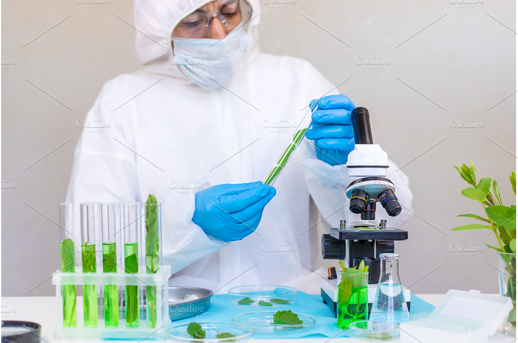 Research of plants in the laboratory, a Technology Photo by yanadjana