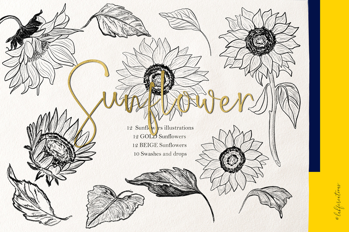 Sunflowers. Sketch Outline art, an Illustration by LABFcreations (Photo 2 of 6)