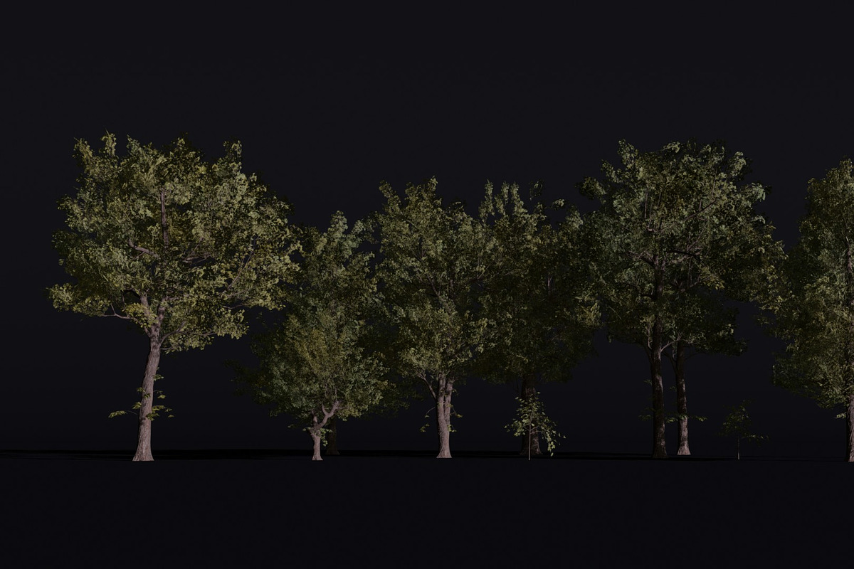 Alder Tree Set, a Plants & Tree 3D Model by FuturePastCreatives (Photo 2 of 3)