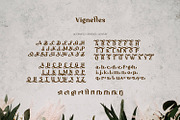 Vignettes - Feminine Type, a Serif Font by ikiiko (Thumbnail 7 of 8)