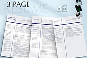 Sales Manager Resume Template, a Resume Template by Career Canvas (Thumbnail 3 of 11)
