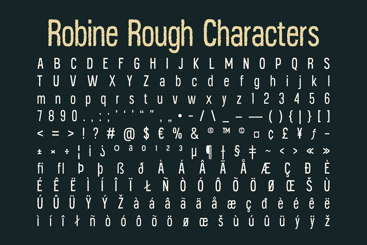 Robine Rough, a Sans Serif Font by Craft Supply Co. (Photo 8 of 8)