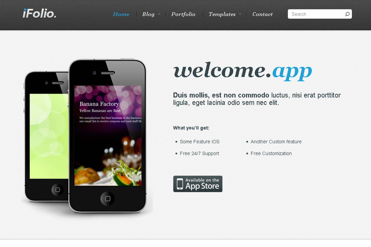 iFolio - online portfolio, a WordPress Template by nattywp (Photo 2 of 4)