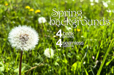 Spring backgrounds, a Wallpaper Photo by javi.ruiz